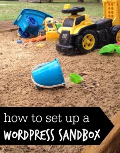 How-to-Set-Up-a-WordPress-Sandbox-for-Development